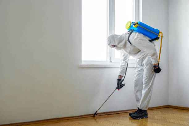 Best Organic or Eco-Friendly Pest Control  in Brownsville, TN